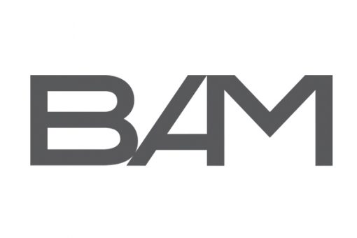 BAM 510x340 - Bancos