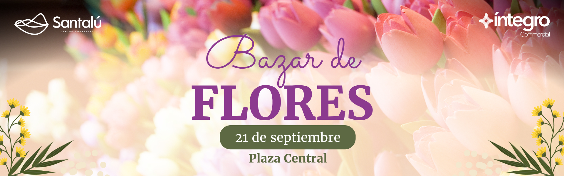Pagina Web Bazar de Flores Santalu - Home