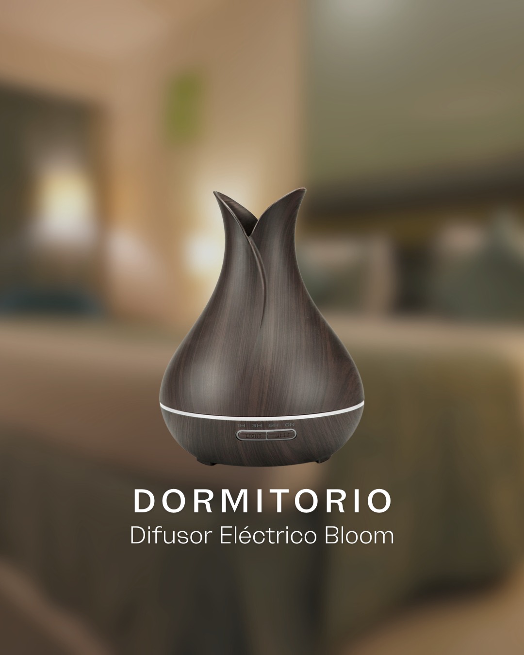 506401410 1125940652887722 851986851245699180 n - DULA