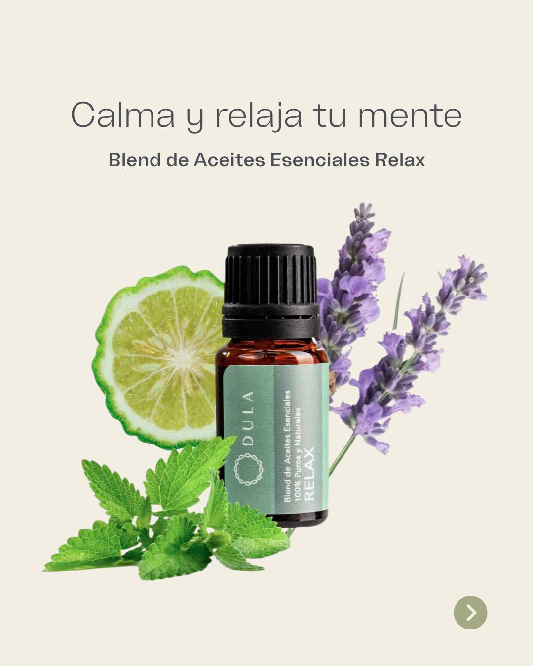 506463858 1127553609393093 7651759795598141087 n - DULA