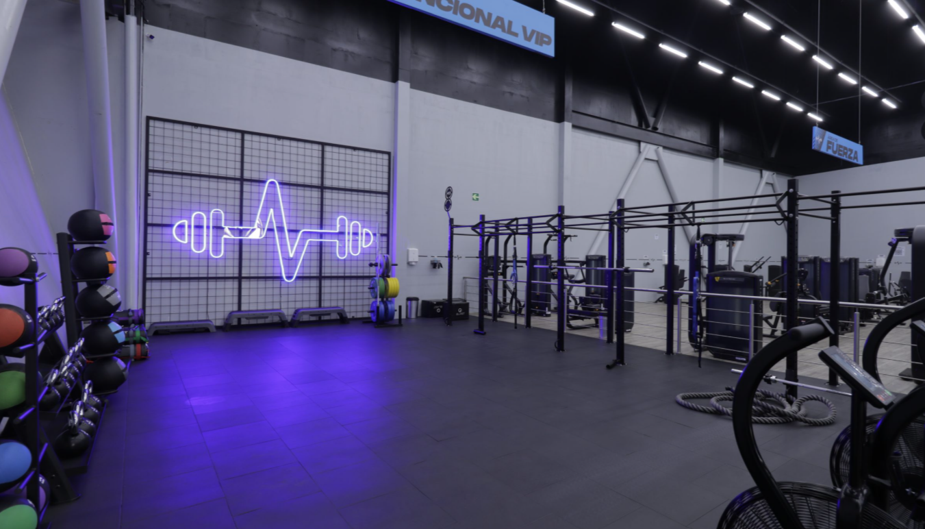 imagen 2025 12 26 230406697 - IMPULSO